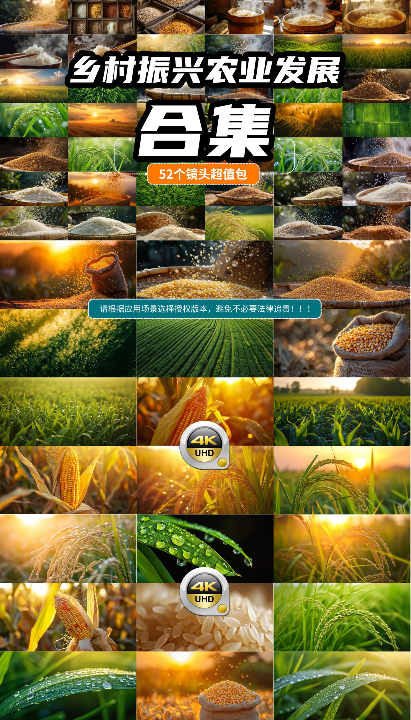 中国宣传片 乡村振兴 美丽乡村 农业丰收