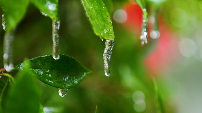 4K南方冰冻灾害冻雨结冰3