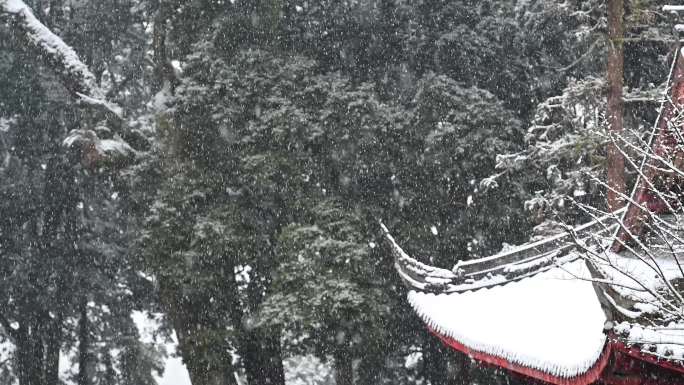 冬天下雪树林寺庙古建筑雪景4K原创