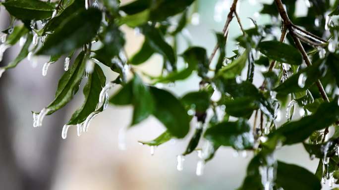 4K南方冰冻灾害冻雨结冰