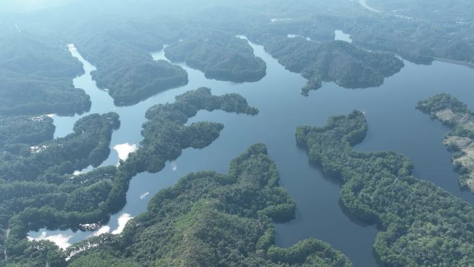 惠州市惠城红花湖景区航拍森林山川湖泊风景