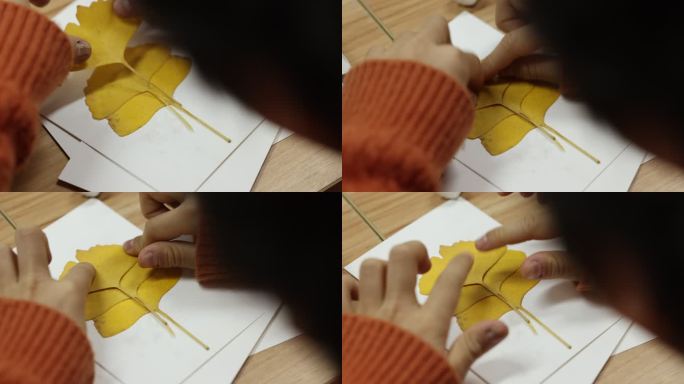 儿童手工美术课树叶贴画枫树叶银杏叶绘画