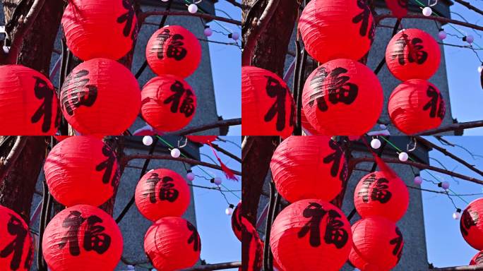 灯笼 红灯笼 新春 节气氛围