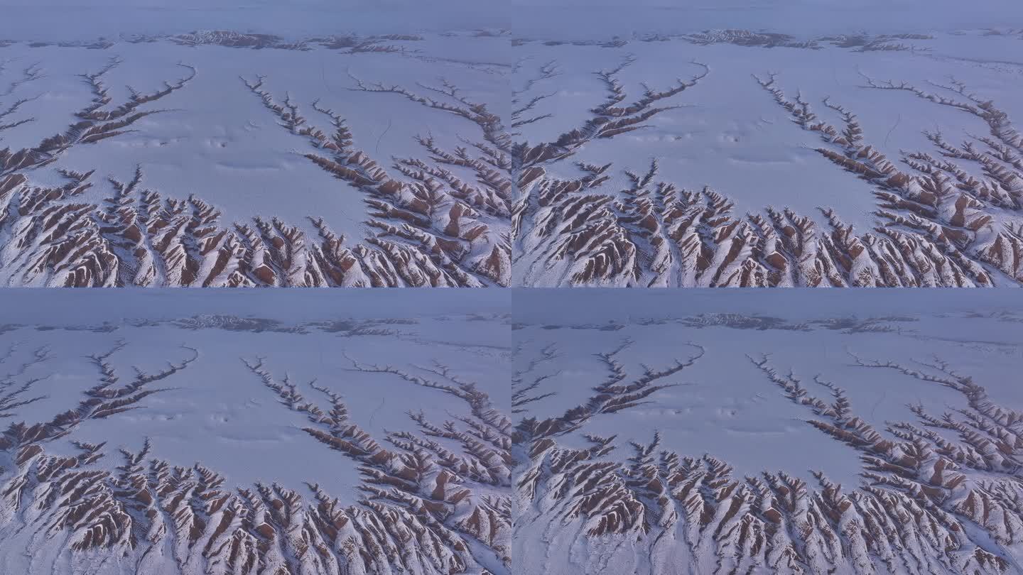 雪景 纹理 龙形状 地貌 群龙  下雪