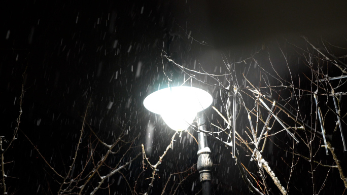 逆光下的雪花，夜晚下雪