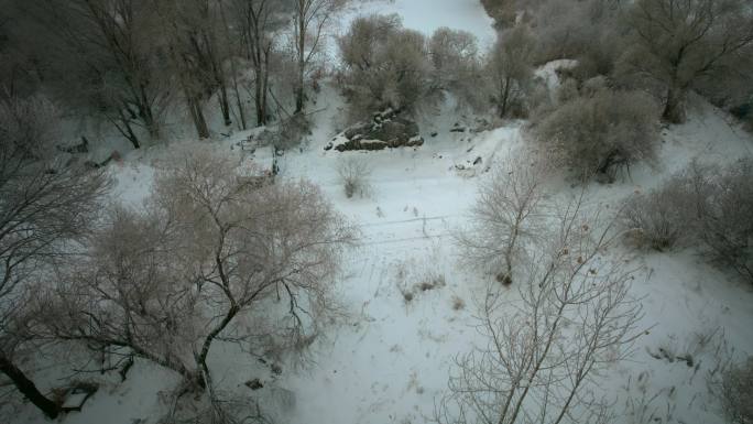 航拍东北哈尔滨雪原树林雪淞风光