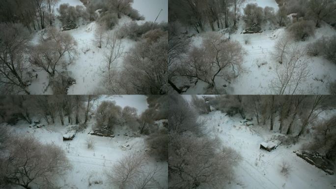 航拍东北哈尔滨雪原树林雪淞风光