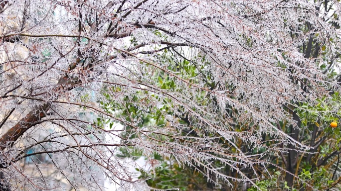 4K南方冰冻灾害冻雨结冰12