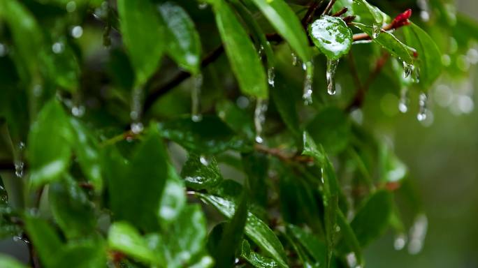 4K南方冰冻灾害冻雨结冰合集7