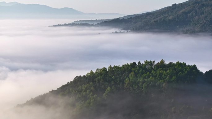 景迈山云海日出