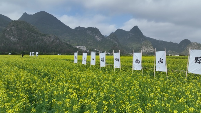 万峰林油菜花