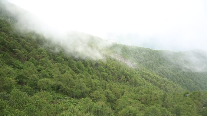 太白山风景区