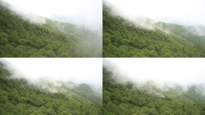 太白山风景区