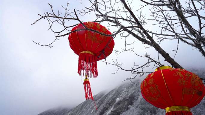 雪后大山里树枝上的红灯笼