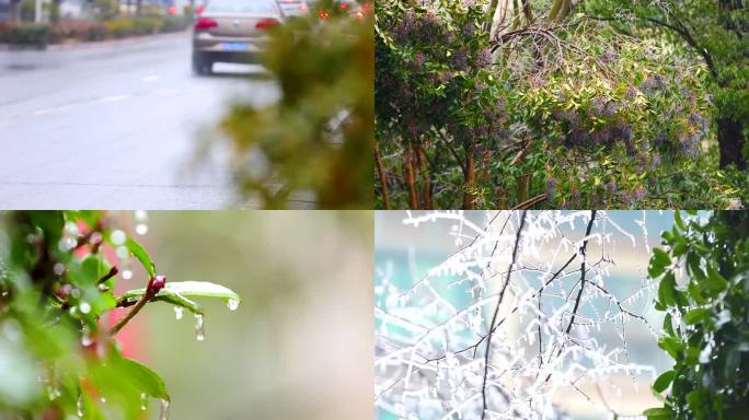 4K南方冰冻灾害冻雨结冰合集6