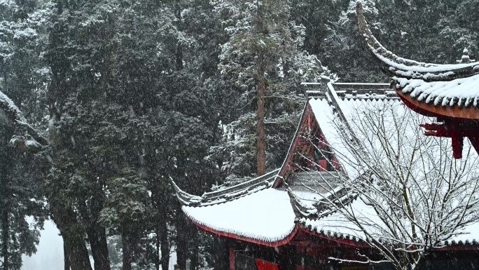 下雪树林千年寺古建筑雪景4K慢镜头