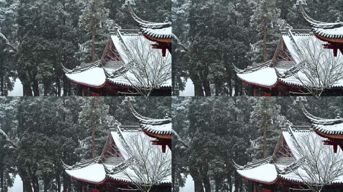 下雪树林千年寺古建筑雪景4K慢镜头