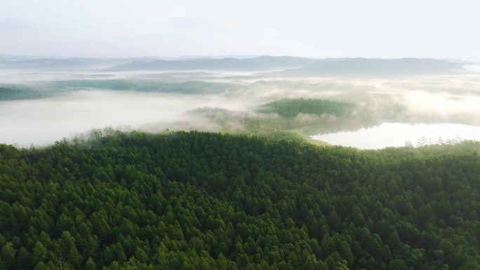 航拍夏日大兴安岭达尔滨罗日出晨雾美景