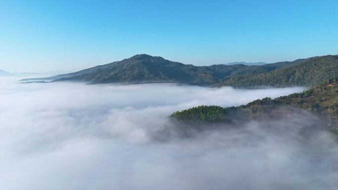 景迈山大金塔云海日出