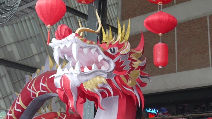 拍一段红龙的视频，它是中国新年的象征