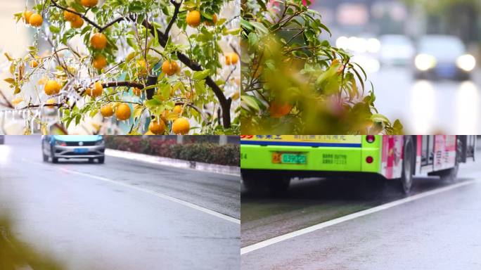 4K南方冰冻灾害冻雨结冰合集4