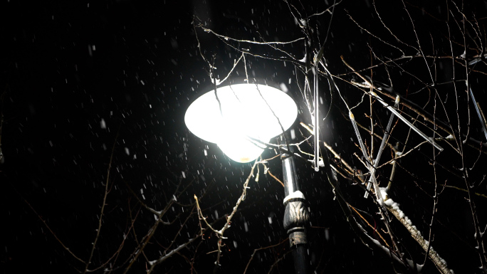 逆光雪花路灯，飘雪