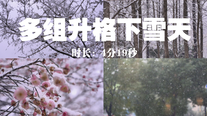 下雪大雪天积雪