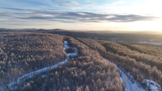 大兴安岭冬季雪色山林晨曦