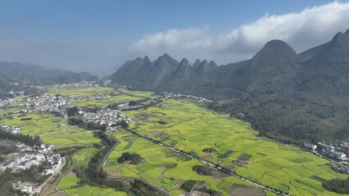 万峰林油菜花航拍