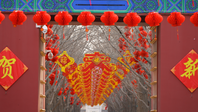 北京龙年庙会合集