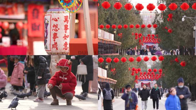 北京龙年庙会合集