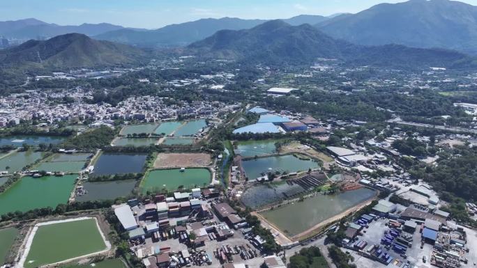 新界沼泽自然保护区湿地郊野，香港北部都市发展计划，深圳附近南生围新田牛潭美米埔落马洲元朗鱼塘的无人机