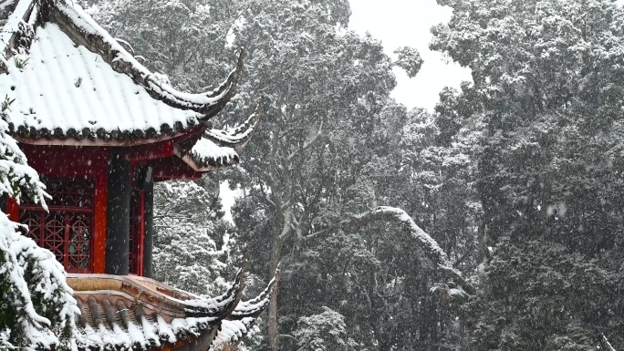 森林公园冬季雪花飞舞雪景角楼积雪慢镜头