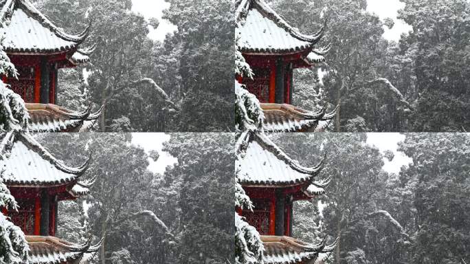 森林公园冬季雪花飞舞雪景角楼积雪慢镜头
