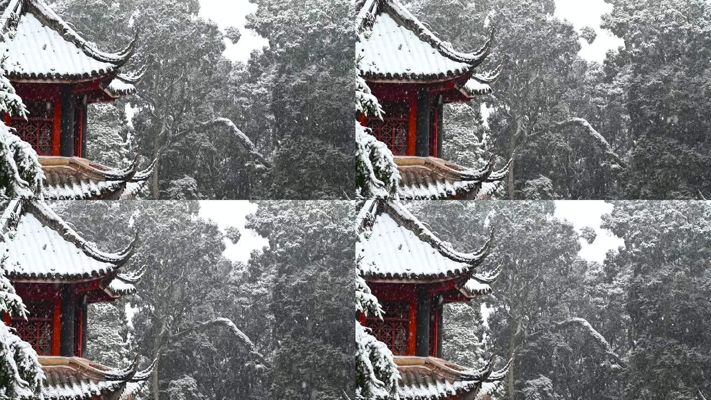 森林公园冬季雪花飞舞雪景角楼积雪慢镜头