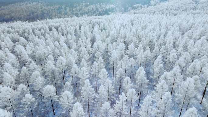 航拍大兴安岭隆冬雪原冰清玉洁雾凇美景