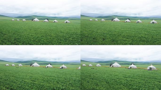 蒙古大营的毡房 营帐