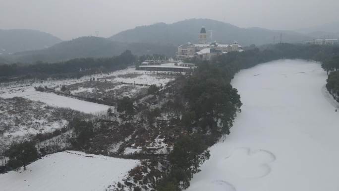 天利天鹅湾 雪景 （二）