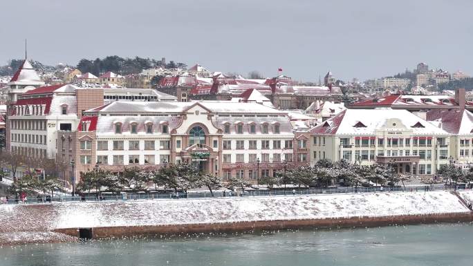 青岛雪景栈桥海鸥