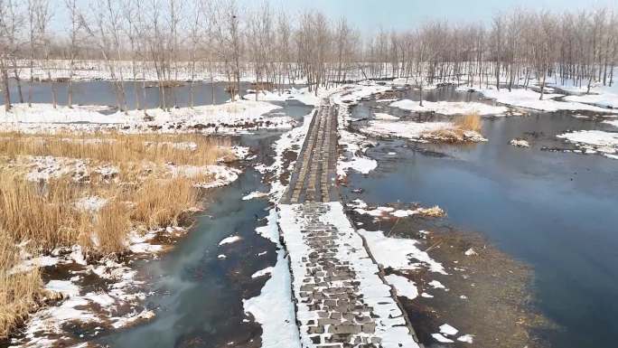 台儿庄区涛沟河湿地雪景