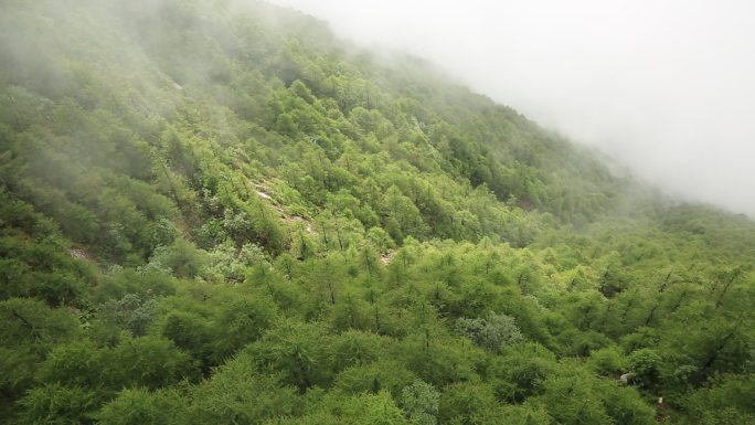 太白山风景区