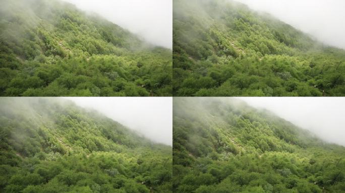 太白山风景区