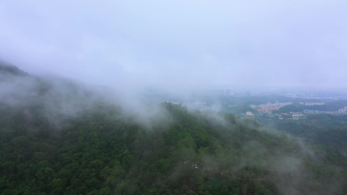 圭峰山 雾气