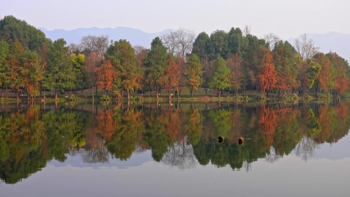 璧山湿地公园