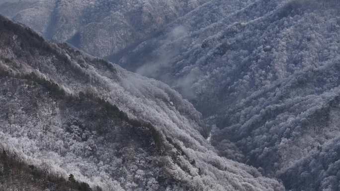 秦岭 雪景 雾凇 高清 4k 航拍