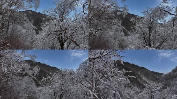 秦岭 雪景 雾凇 高清 4k 航拍