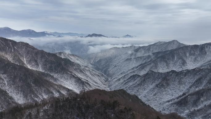 秦岭 雪景 雾凇 高清 4k 航拍