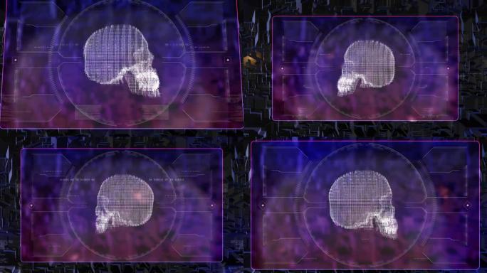 人类头骨x射线技术投影