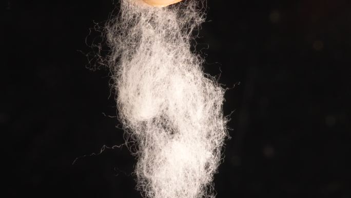 新疆棉花 新疆棉 棉花 棉花丝