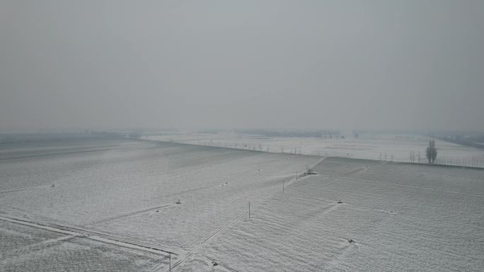 雪后平原